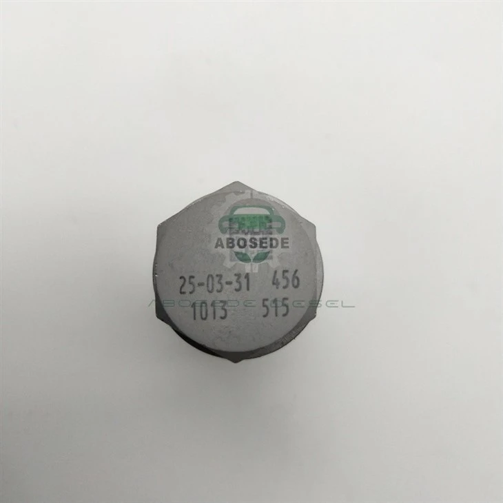 11100100131